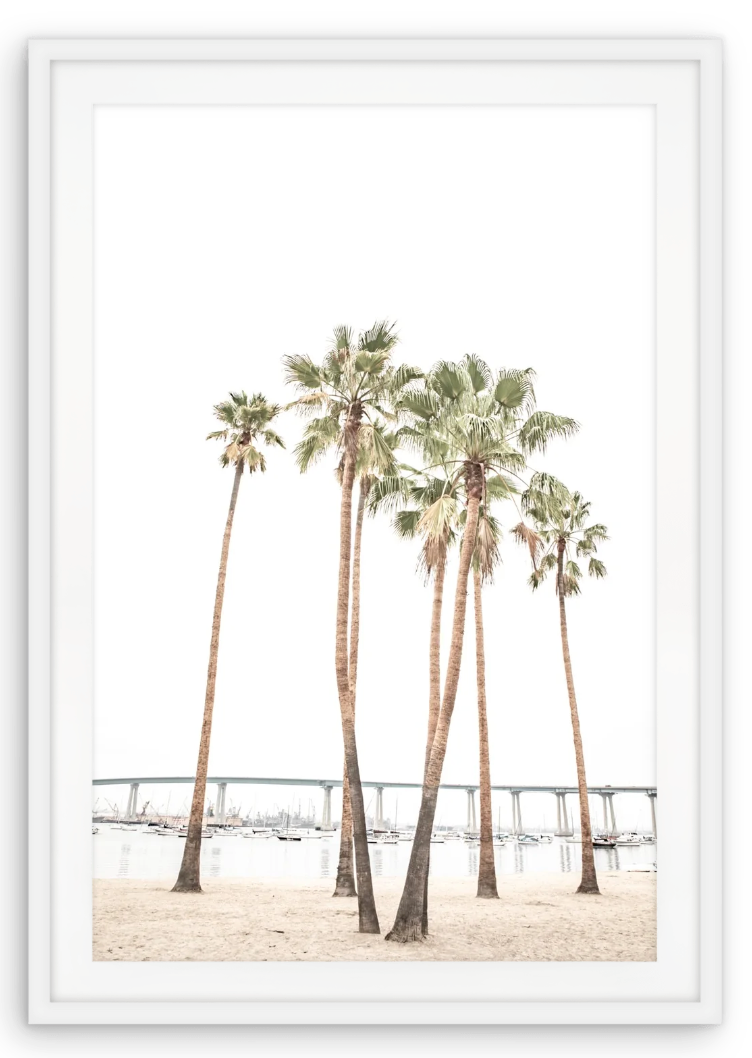 Coronado Palms Framed Art