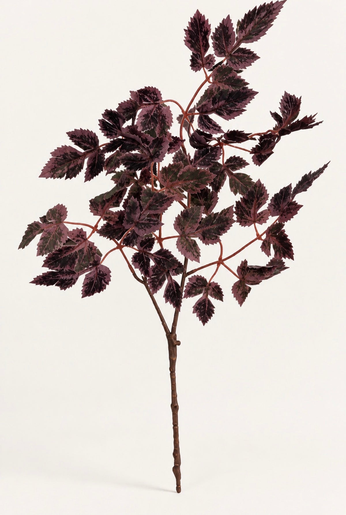 Fall Stems Artificial Cimicifuga Stems Branches 24in