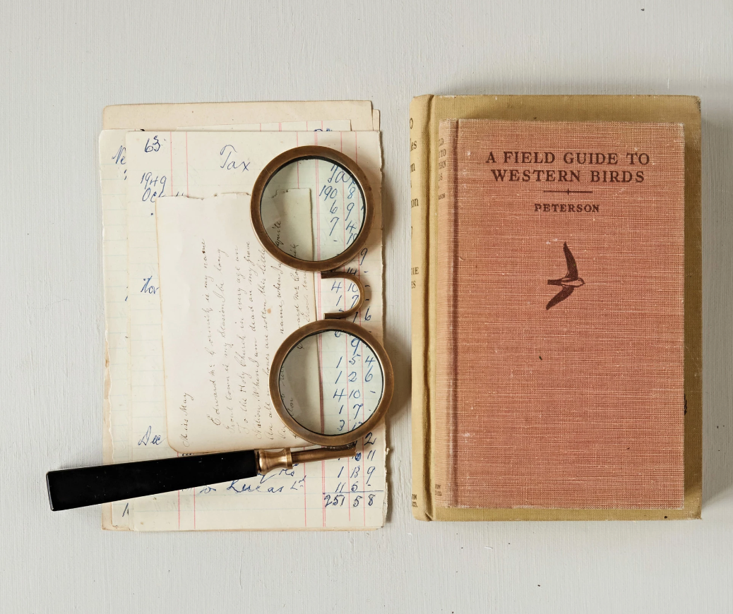 Spectacle Magnifying Glass