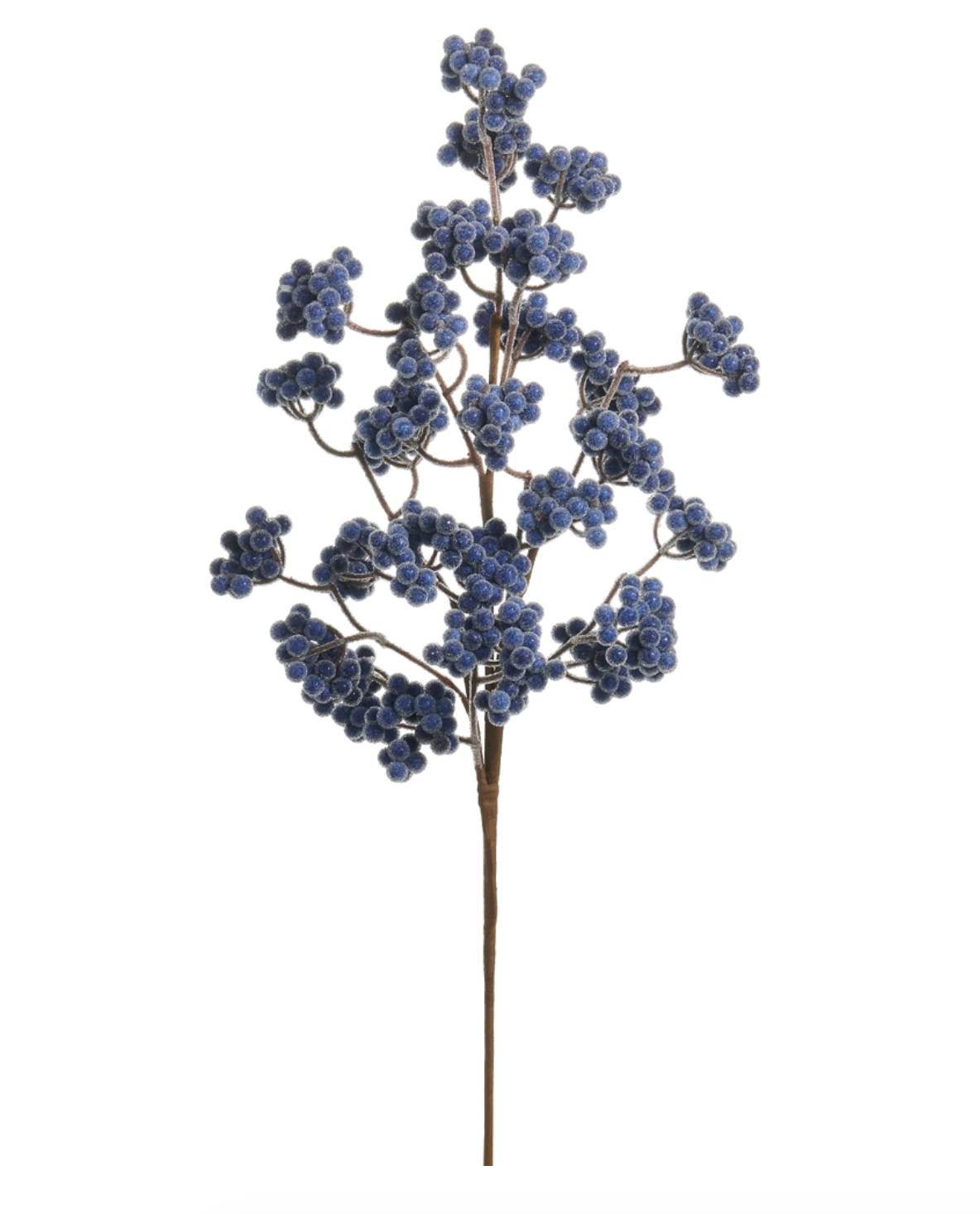 Blue Cluster Berry Branch