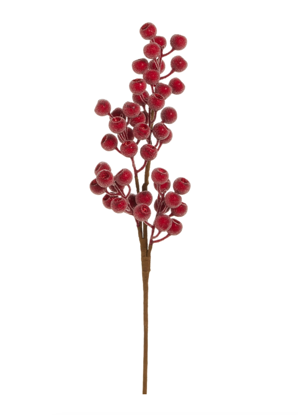 Sugared Berry Brach