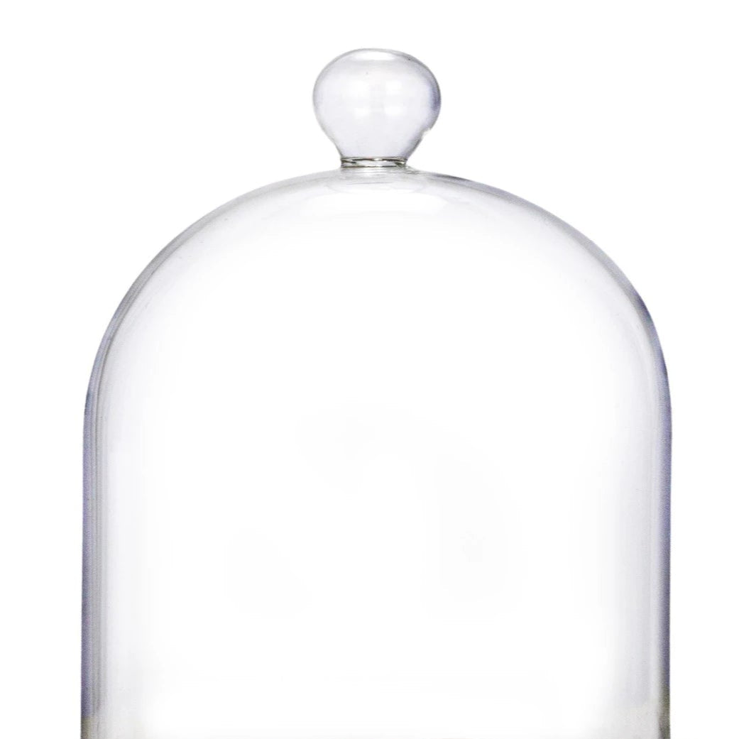 Decorative Glass Cloche