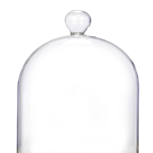 Decorative Glass Cloche