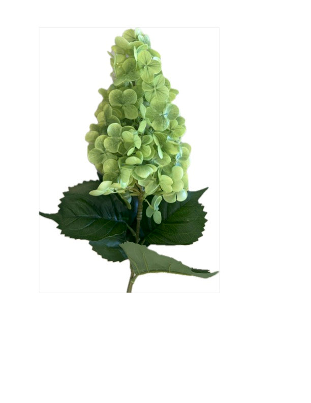 Cone Hydrangeas, Real Touch