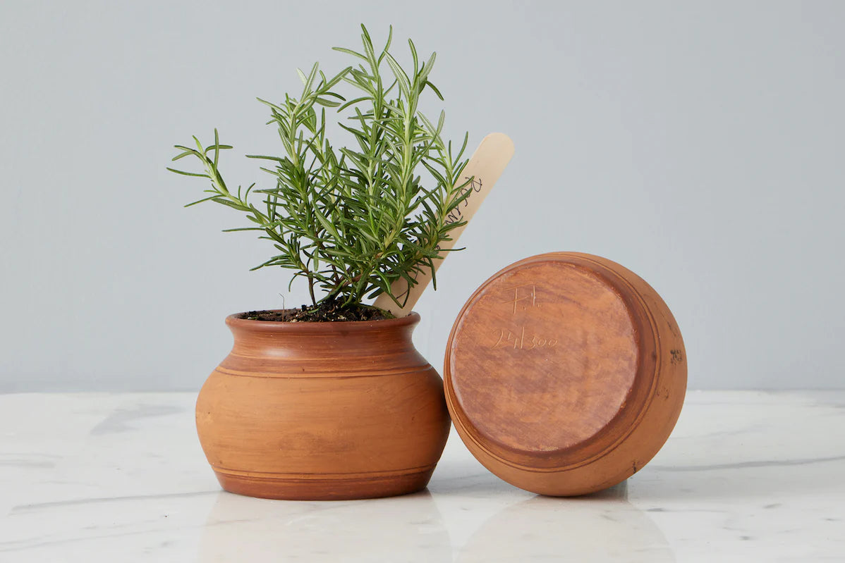 Terracotta Planter, 2 Styles