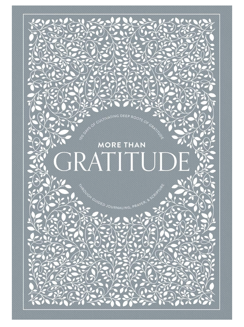 More Than Gratitude