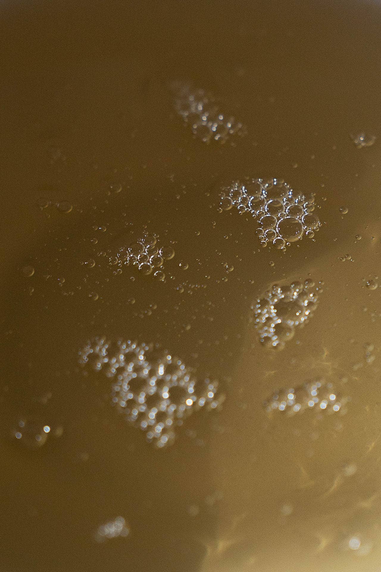 Eucalyptus Bergamot Hand Soap